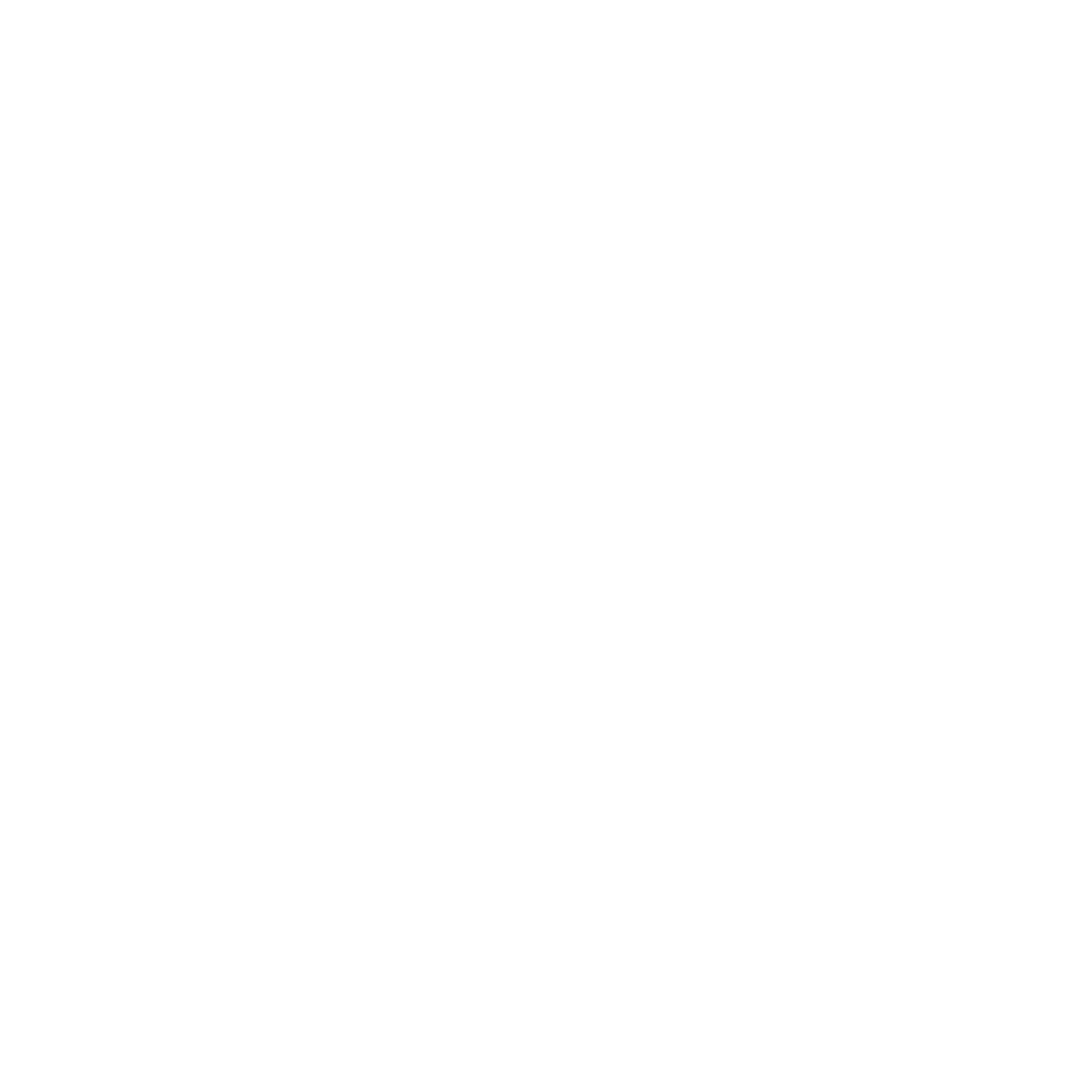 Fergburger Group